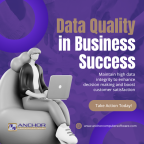 Data Quality in Business Success