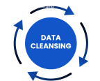 datacleansing 1