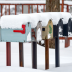 Snow Mailbox